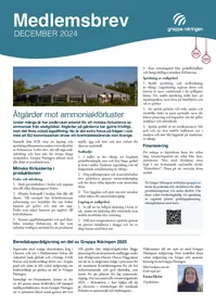 Bild på brevets framsida.